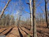 3879 Caney Head Road - Photo 40