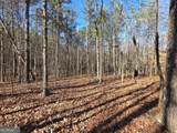 3879 Caney Head Road - Photo 45