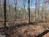 3879 Caney Head Road - Photo 46