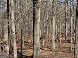 3879 Caney Head Road - Photo 57