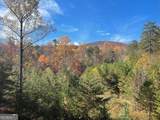 160 Wood Poppy View - Photo 72