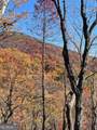 160 Wood Poppy View - Photo 73