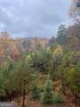 160 Wood Poppy View - Photo 74