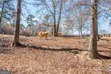 4302 Franklin Goldmine Road - Photo 43