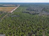 TRACT 1 - 12321 Highway 185 - Photo 14