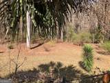 117 Brookwood Drive - Photo 7