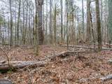 8.5 ACRES Rockbridge Road - Photo 16