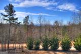 1038 Synacia Drive - Photo 56