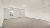 159 Defilippe Drive - Photo 15