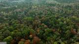 0 Twin Forks Rd/Martin Road - Photo 4