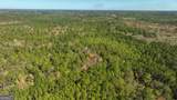 0 Twin Forks Rd/Martin Road - Photo 7
