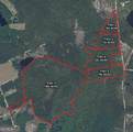 0 Twin Forks Rd/Martin Road - Photo 3