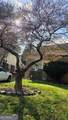 638 Moreland Avenue - Photo 14