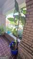 638 Moreland Avenue - Photo 15