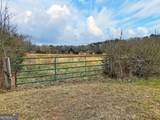 60.97+/- ACRES Us Hwy 19 - Photo 22