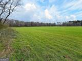 60.97+/- ACRES Us Hwy 19 - Photo 27