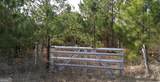 35 Barwick Kea Road - Photo 39