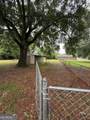 27 Mcleod Street - Photo 20