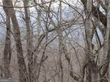 LOT 29 Long Mountain Trail - Photo 11