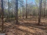 0 Lee Mashburn Road - Photo 4