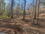 0 Lee Mashburn Road - Photo 8