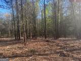 0 Lee Mashburn Road - Photo 9