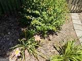148 Swan Sanders Road - Photo 39