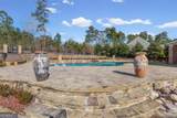 142 Nelson Boulevard - Photo 69