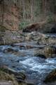 164 Water Dance Trail - Photo 20