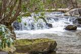 164 Water Dance Trail - Photo 3