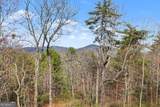 421 Hickory Nut Mtn - Photo 39