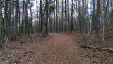 8165 Highway 81 - Photo 10