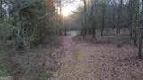 8165 Highway 81 - Photo 5