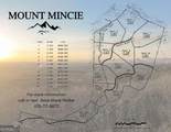LOT 4 Mount Mincie Road - Photo 16