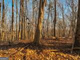 LOT 4 Mount Mincie Road - Photo 30