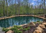 85 Frances Drive - Photo 6