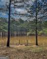 17081 Ga Highway 85 - Photo 45
