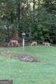 2005 Foxcroft Drive - Photo 65