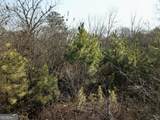 5335 Church Street - Photo 26