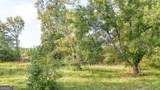 54+/- ACRES Joyner Oglesby Road - Photo 13