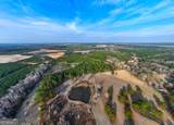 54+/- ACRES Joyner Oglesby Road - Photo 4