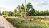 54+/- ACRES Joyner Oglesby Road - Photo 8