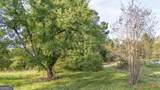 54+/- ACRES Joyner Oglesby Road - Photo 9