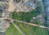 5.26+/- ACRES Joyner Oglesby Road - Photo 5