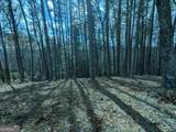 LT 30-31 Eagle Ridge Road - Photo 1