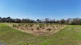 0 Lincolnton Highway - Photo 36