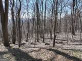 243 Dragon Trail - Photo 13