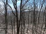 243 Dragon Trail - Photo 14