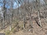 243 Dragon Trail - Photo 19