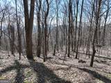 243 Dragon Trail - Photo 2